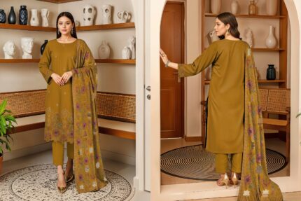 Winter mastered color dress